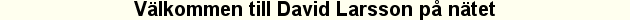 V�lkommen till David Larsson p� n�tet